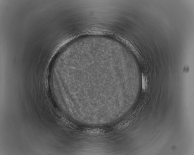 X0000097610675200803281014