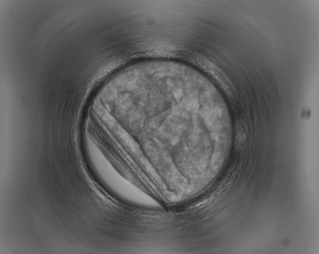 X0000097610677200803281014