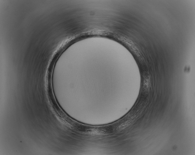 X0000097610678200803281014