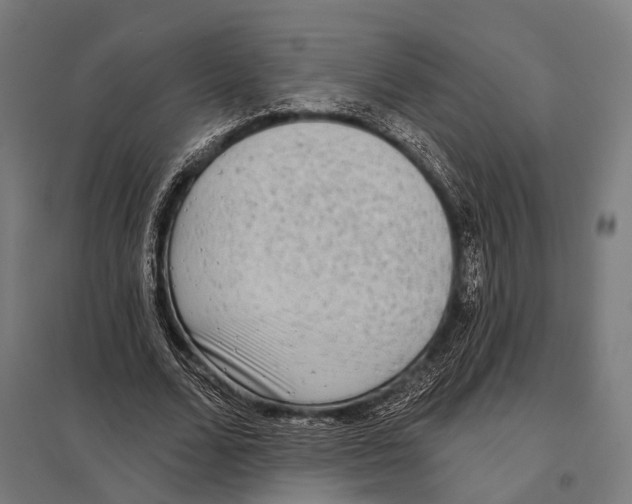 X0000097610680200803281014