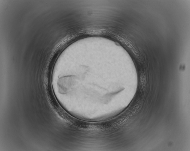 X0000097610682200803281014