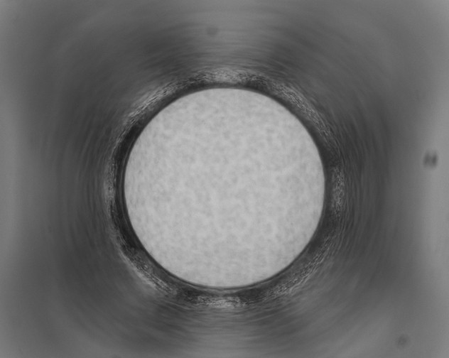 X0000097610683200803281014