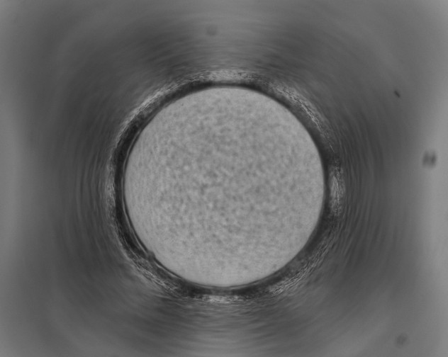 X0000097610684200803281014