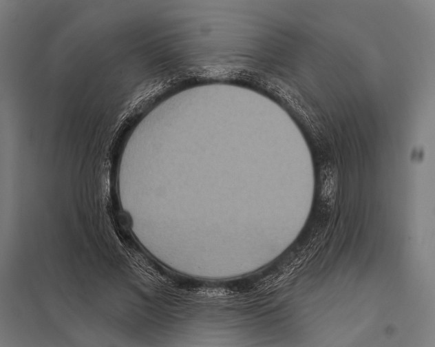 X0000097610685200803281014