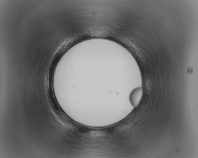 X0000097610686200803281014