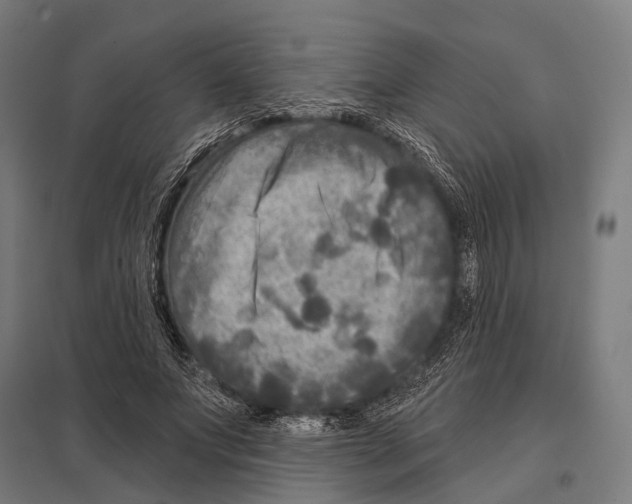 X0000097610687200803281014