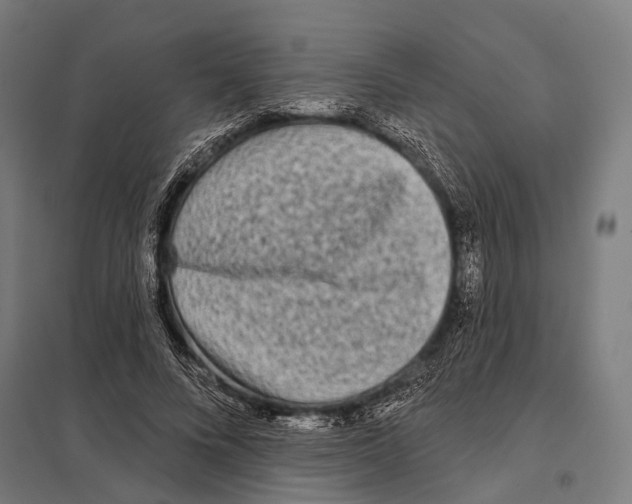 X0000097610688200803281014