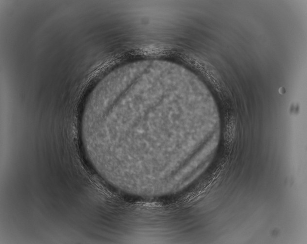 X0000097610689200803281014