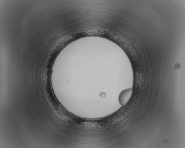 X0000097610690200803281014