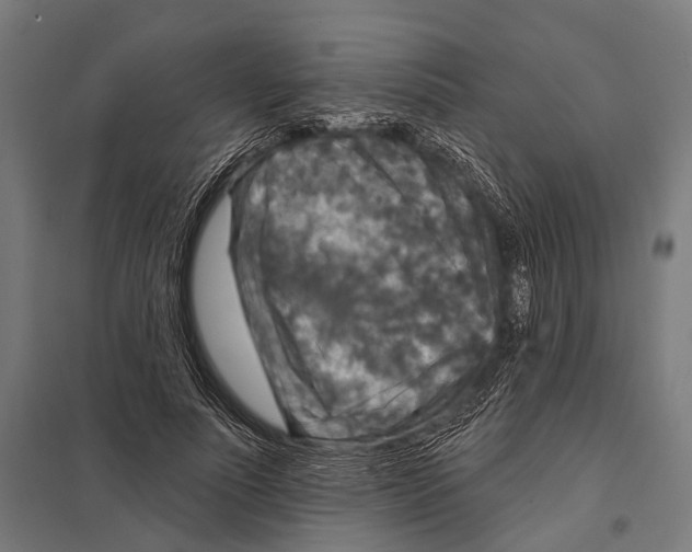 X0000097610691200803281014