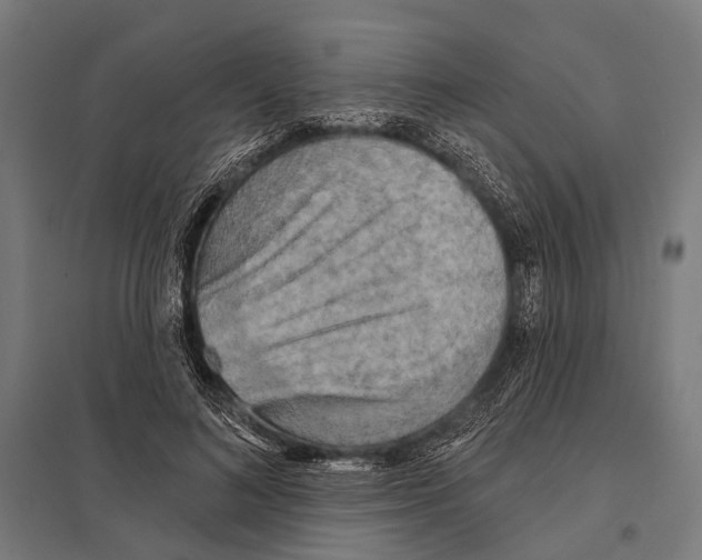 X0000097610692200803281014