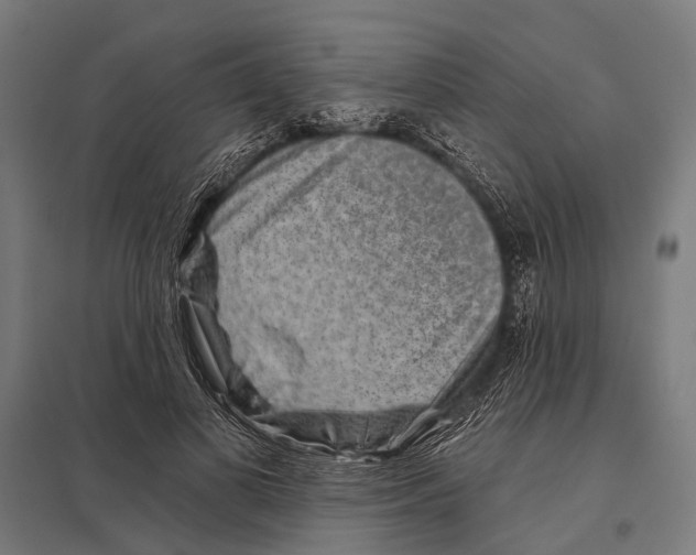 X0000097610693200803281014