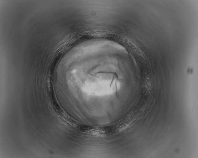 X0000097610696200803281014