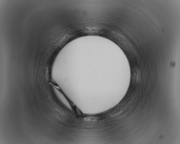 X0000097610700200803281014