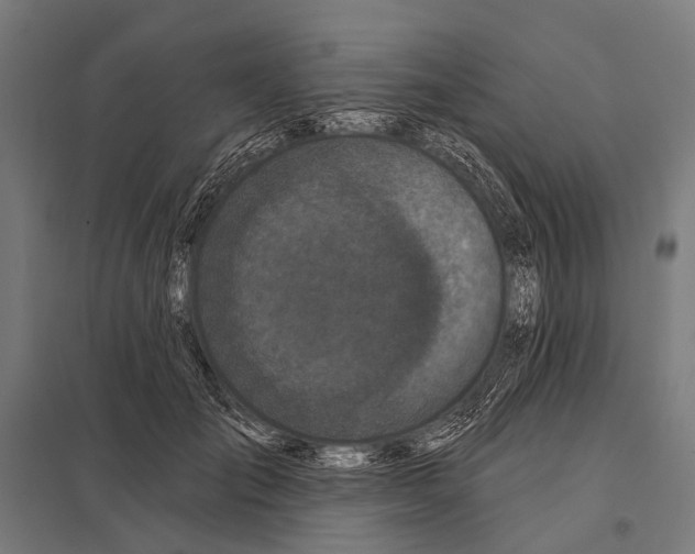 X0000097610701200803281014