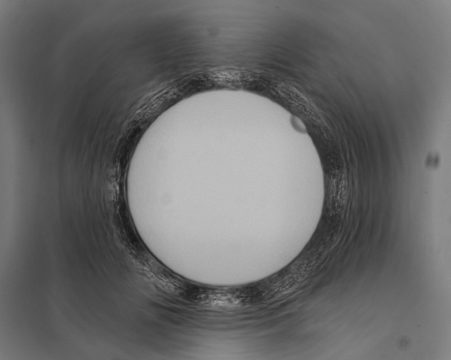 X0000097610702200803281014