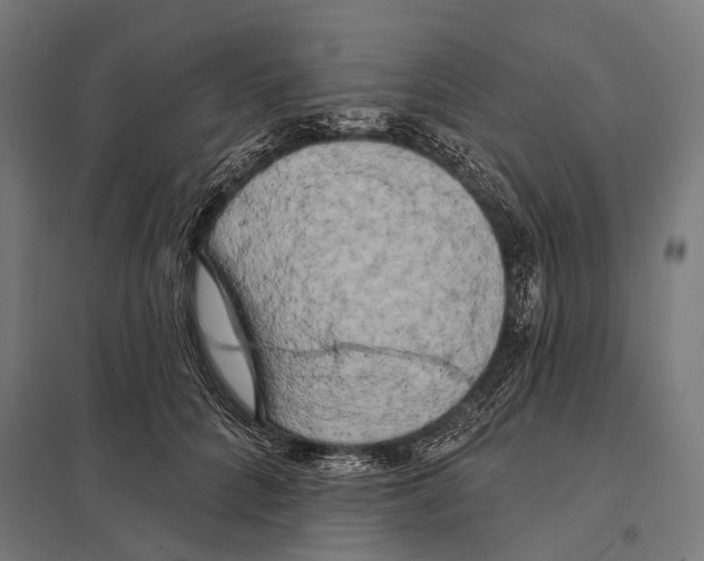 X0000097610704200803281014