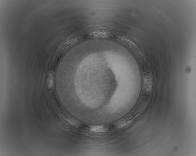 X0000097610705200803281014