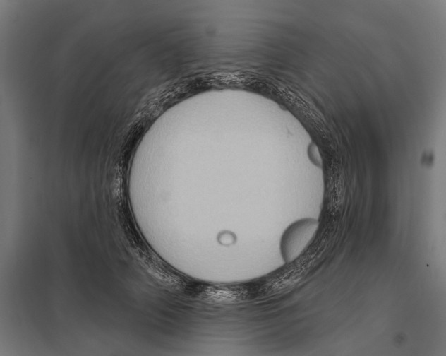 X0000097610706200803281014