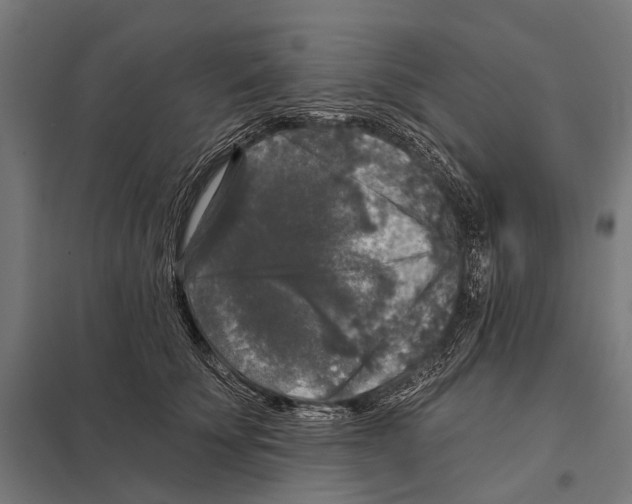 X0000097610707200803281014