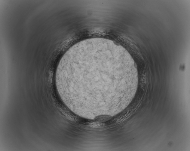 X0000097610708200803281014