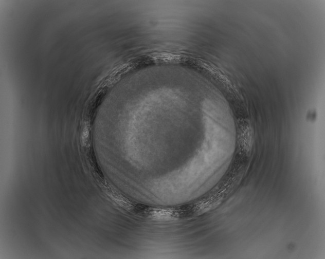 X0000097610709200803281014