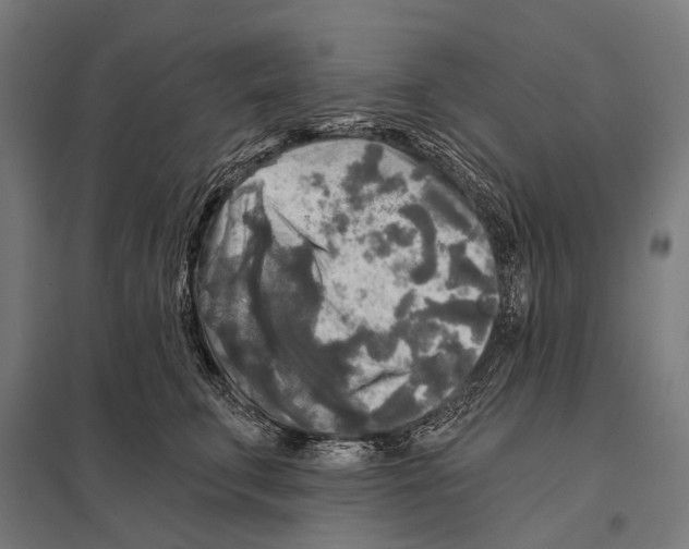 X0000097610711200803281014