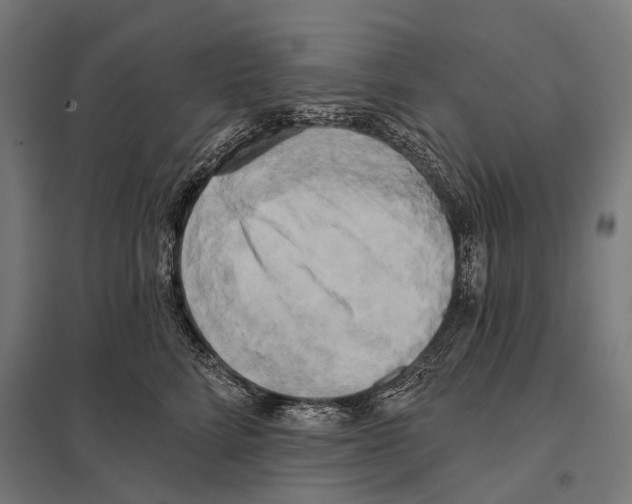 X0000097610712200803281014