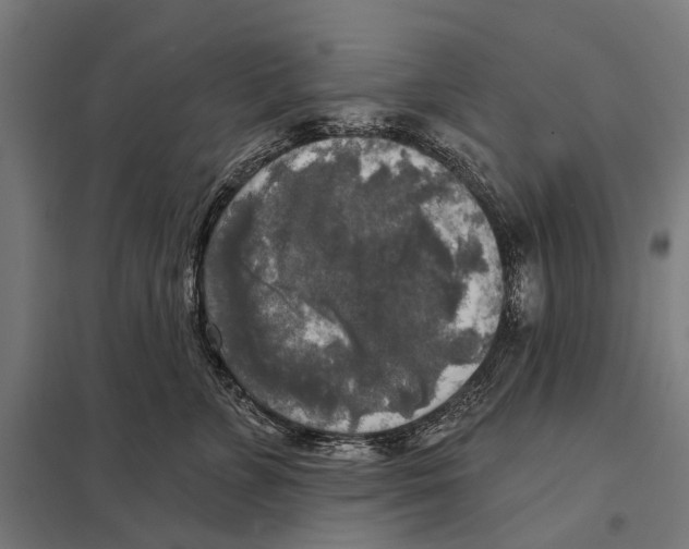 X0000097610715200803281014