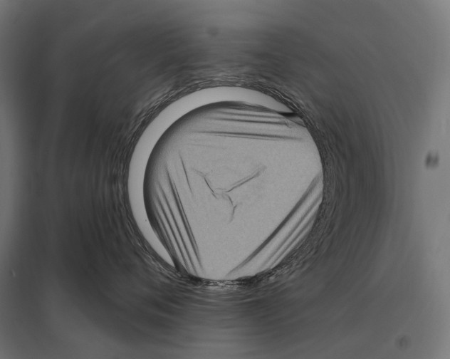 X0000097610720200803281014