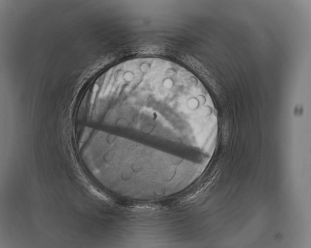 X0000097610721200803281013