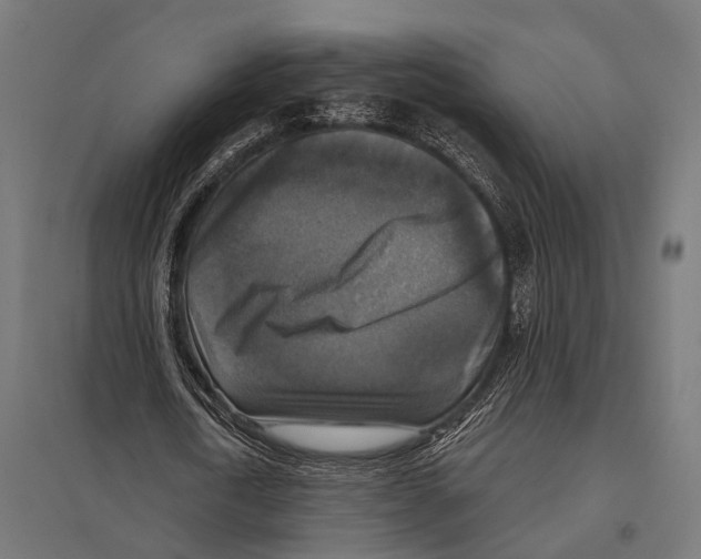 X0000097610722200803281013