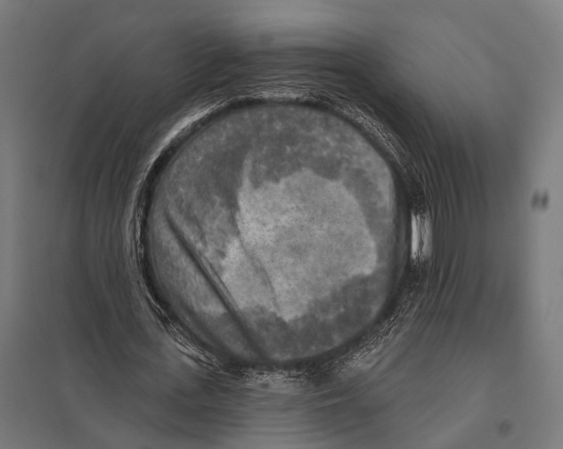 X0000097610723200803281013