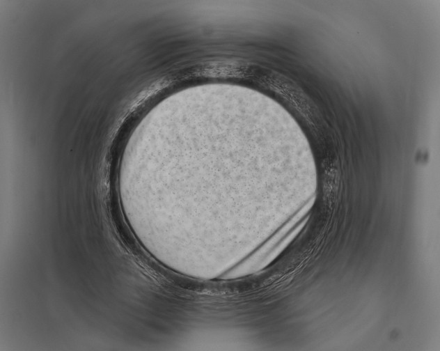 X0000097610727200803281013