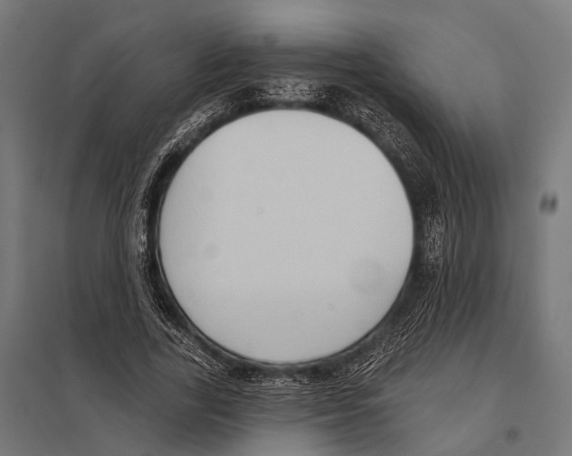 X0000097610731200803281013