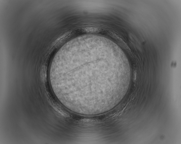 X0000097610733200803281013