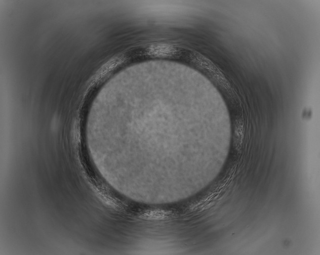 X0000097610734200803281013