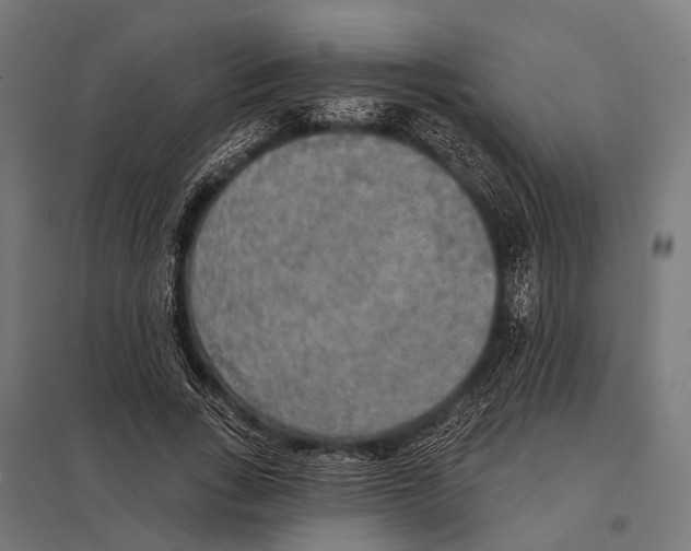 X0000097610735200803281013