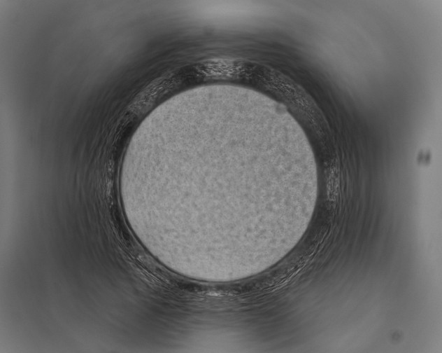 X0000097610737200803281013