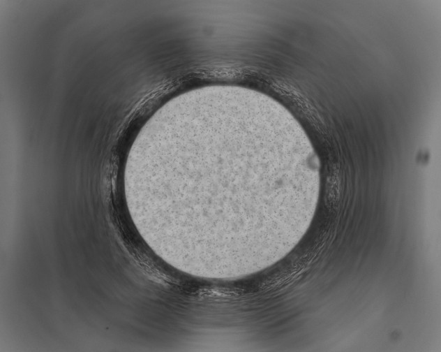 X0000097610739200803281013