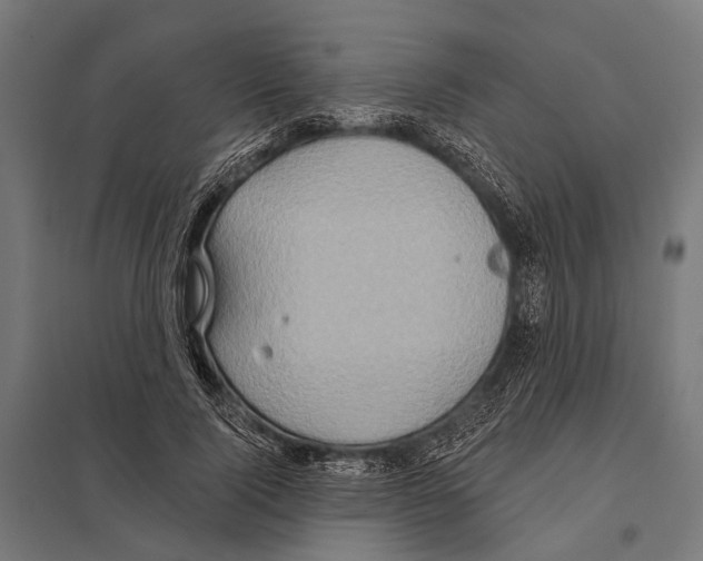 X0000097610740200803281013