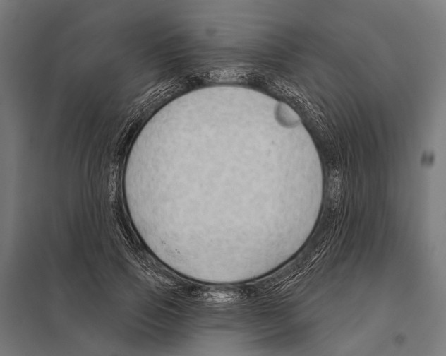 X0000097610741200803281013