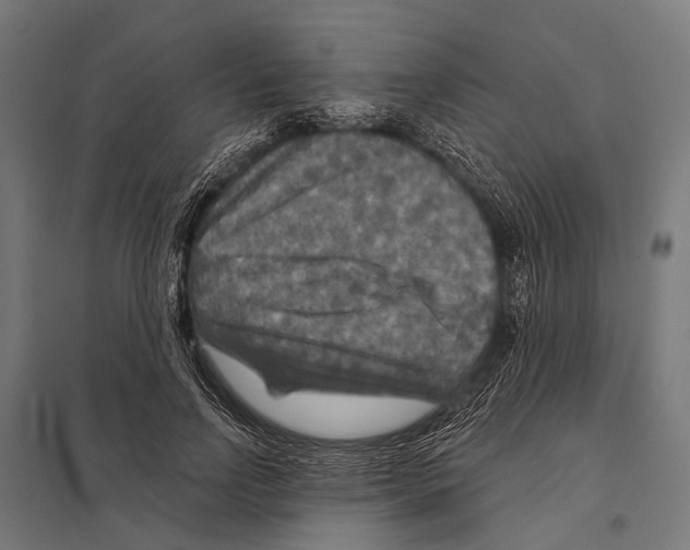 X0000097610742200803281013