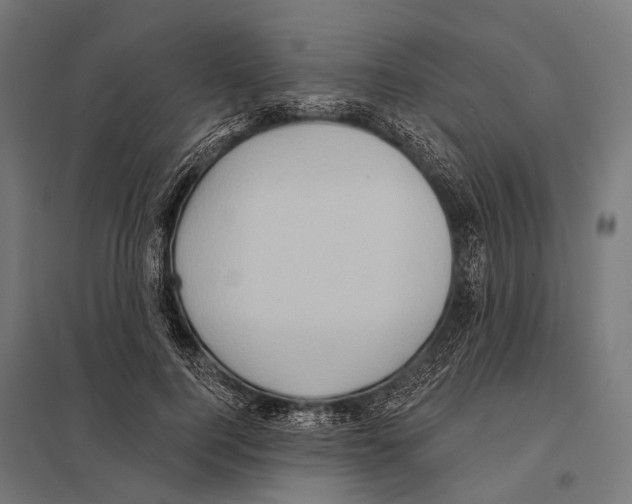 X0000097610744200803281013