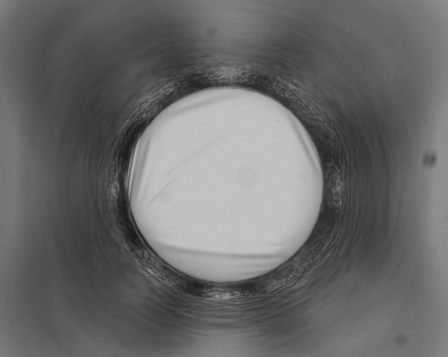 X0000097610746200803281013