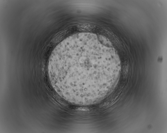 X0000097610749200803281013