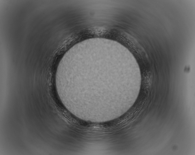 X0000097610750200803281013