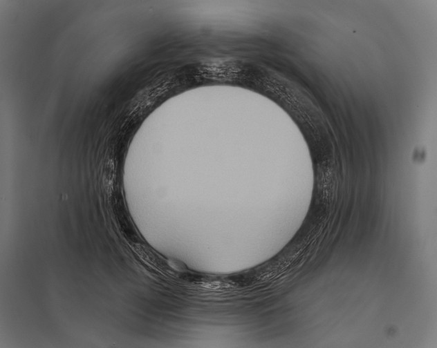 X0000097610752200803281013