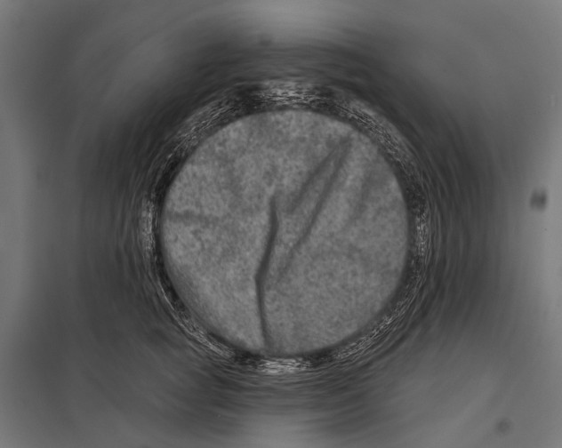 X0000097610757200803281013