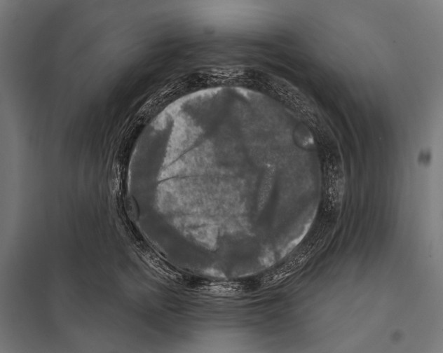 X0000097610758200803281013